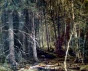 伊万 希什金 : Forest